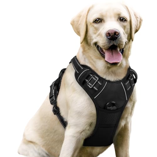 rabbitgoo Dog Harness Large Black side view