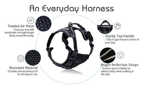 Rabbitgoo dog harness worn by large dog
