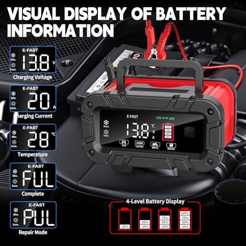 E-FAST charger interface for 12V and 24V mode