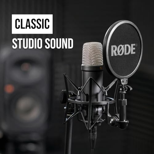 Rode NT1 microphone capsule detail