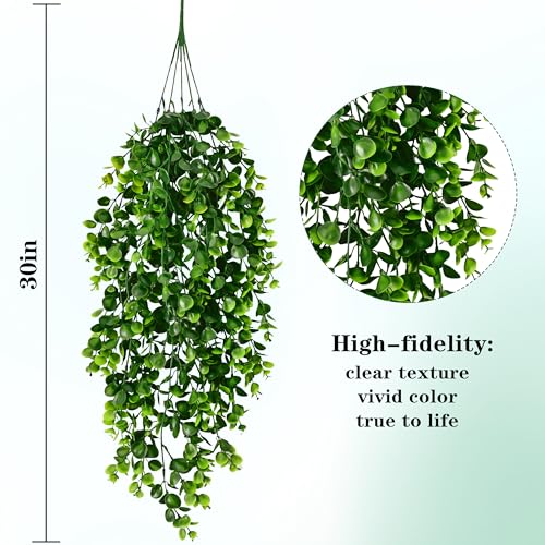 Waipfaru hanging vines on wall