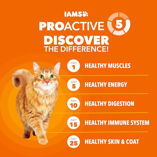 Closeup of IAMS Proactive Health kibble texture