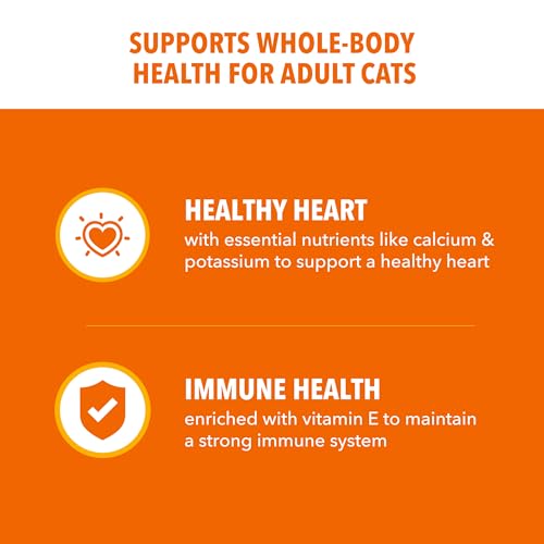 IAMS Healthy Adult chicken recipe dry cat food
