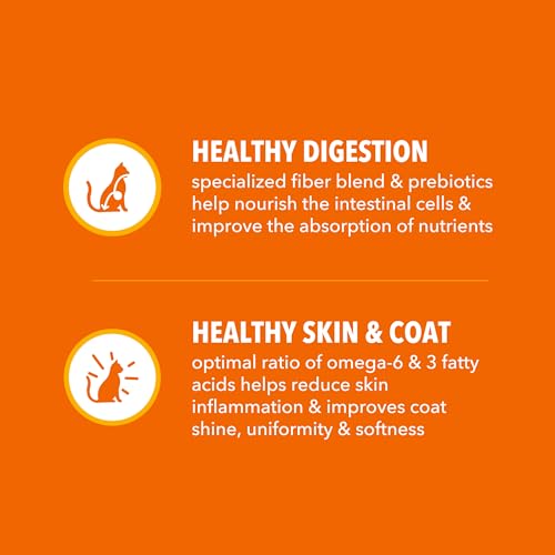 Back of IAMS Proactive Health cat food bag