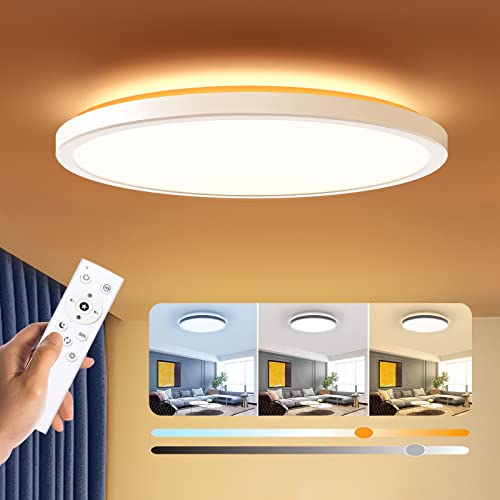 BLNAN 12-inch dimmable LED ceiling light
