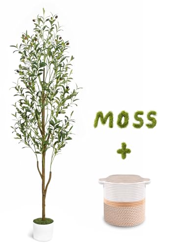 Waipfaru 6FT Artificial Olive Tree overview