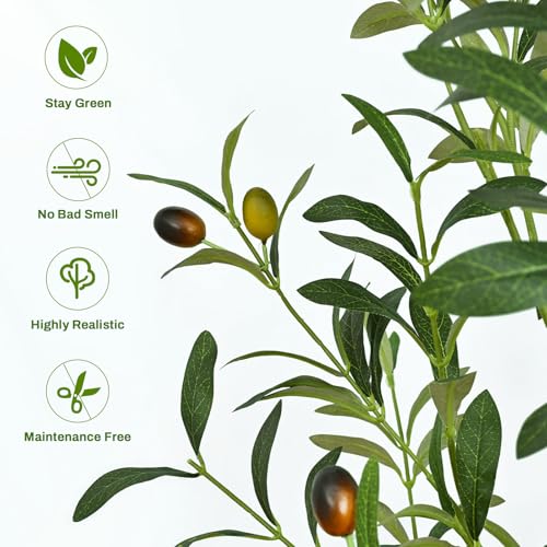 Detailed view of olive tree branches and leaves