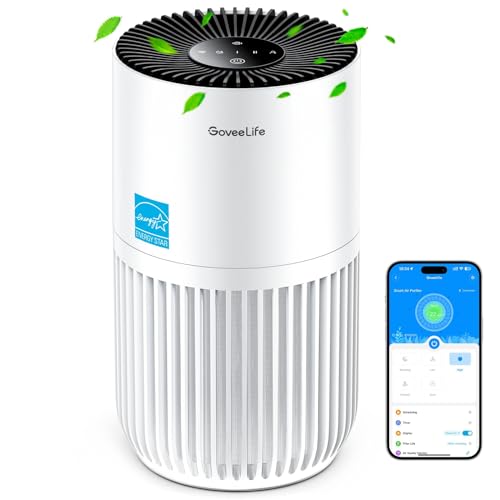 GoveeLife Smart Mini Air Purifier H7126 front view