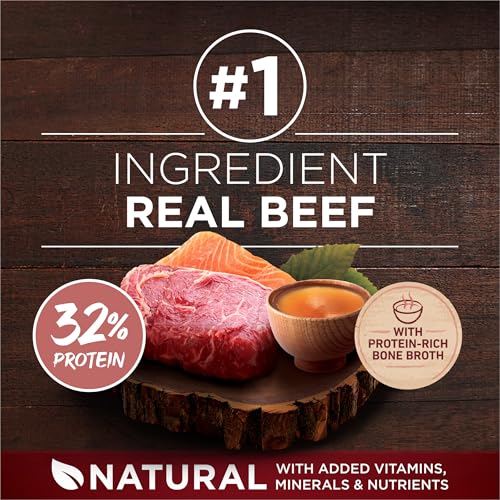 Purina ONE beef and salmon kibble