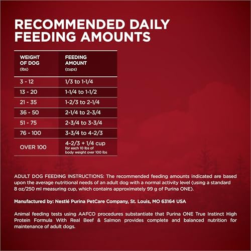Dog enjoying Purina ONE dry food