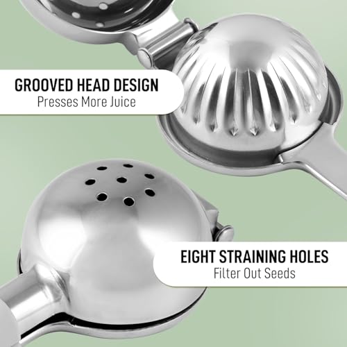 Top view of stainless steel lemon press