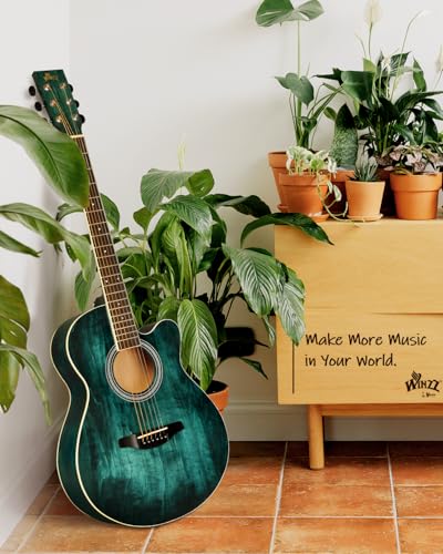 Winzz guitar with padded carrying bag