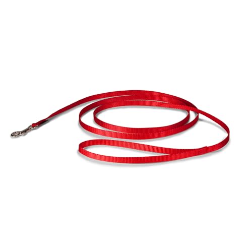 PetSafe Nylon Dog Leash in red