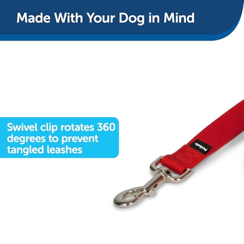 Close up of PetSafe bolt snap