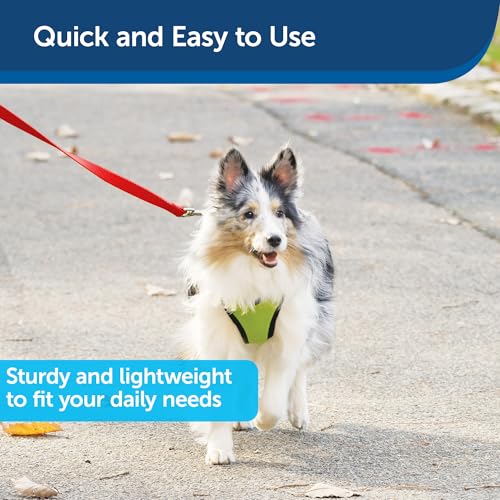 PetSafe leash 6 foot length view