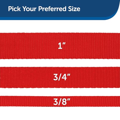 PetSafe dog leash folded