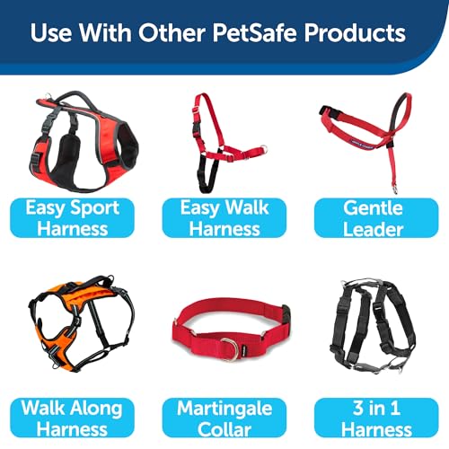 PetSafe red leash branding