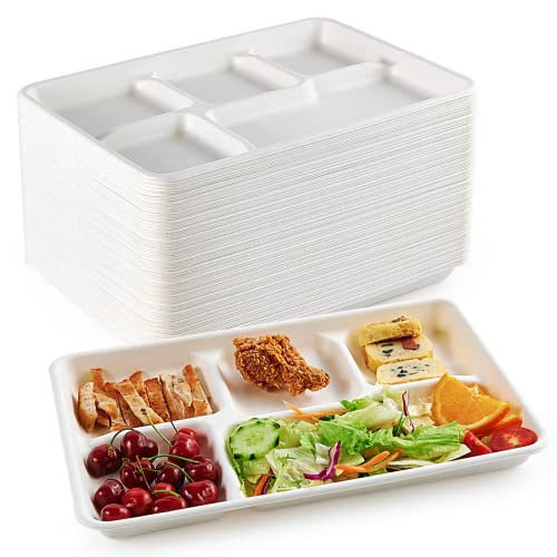 ECOLipak 5 compartment plate front view