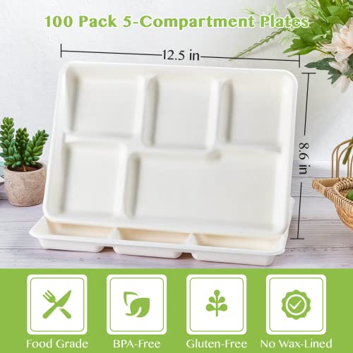 Stack of 12.5 inch compostable plates