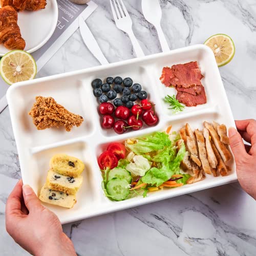 Close up of divided plate compartments
