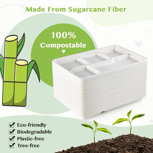 ECOLipak plate holding hot food
