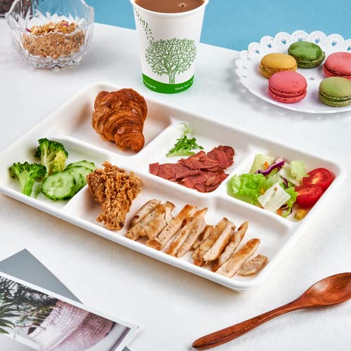 Eco-friendly paper plate texture