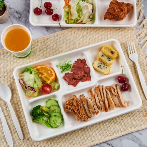 Backside of 100 pack compostable plates