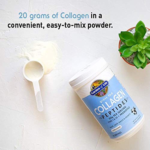 Close up of collagen powder serving scoop