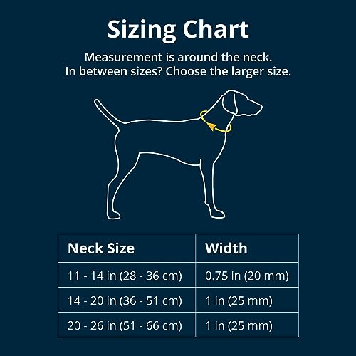 Side-release buckle on Ruffwear dog collar