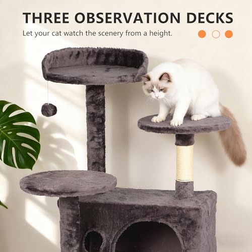 Cat tree ladder and accessories