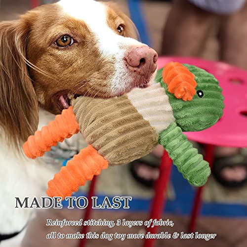 Dog playing with LECHONG squeaky plush animals