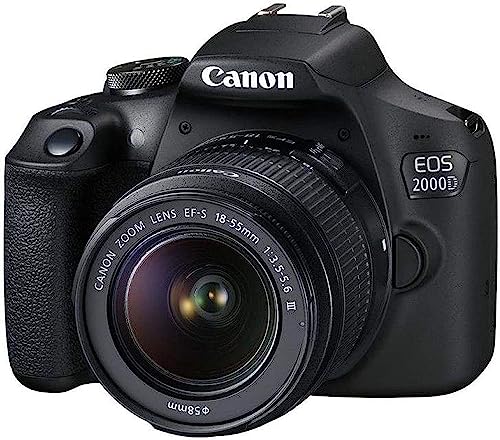 Rear view of Canon EOS 2000D LCD monitor