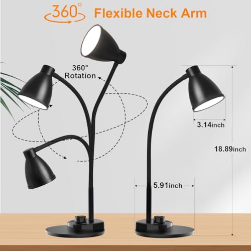 BOHON LED lamp light modes