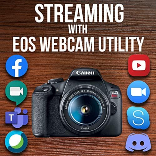Canon EOS Rebel T7 sensor view