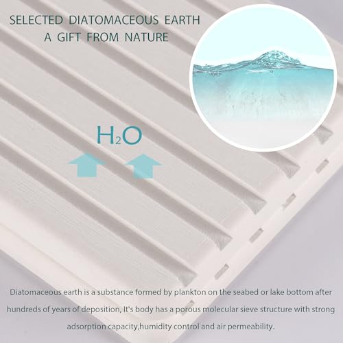 Side view of the water absorbing stone tray
