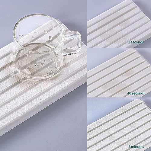 NiuYichee diatomite tray with a small plant