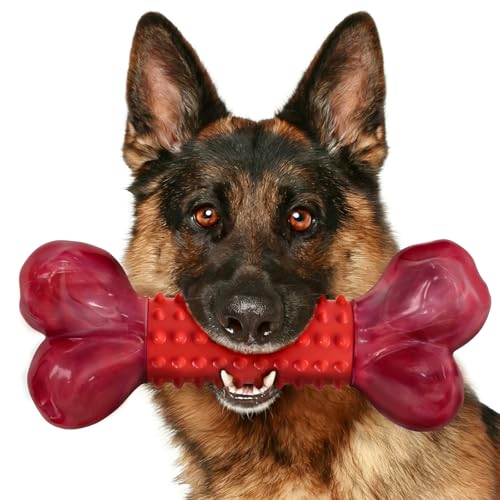 Apasiri Tough Dog Toy red bone