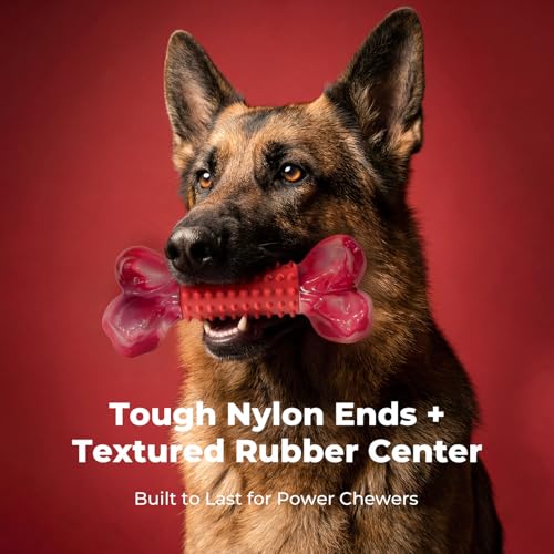 Beef flavored nylon dog bone