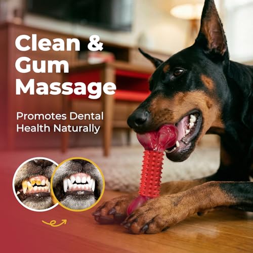 Red tough bone for power chewers