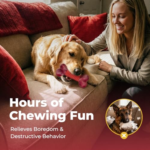 Dental health dog chew toy