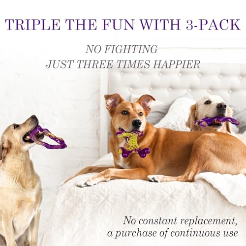 Three-piece set of Frienhund dog toys