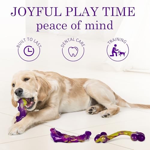 Packaged Frienhund toy set for aggressive chewers