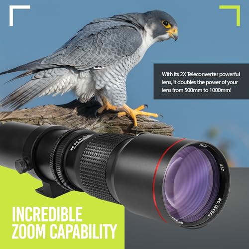 Big Mike's lens showing manual focus and aperture rings
