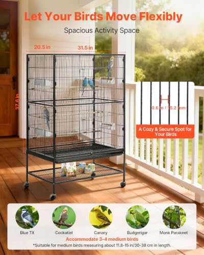 Bird cage with perch and feeder details