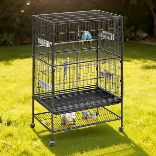 Full scale view of black wrought iron cage