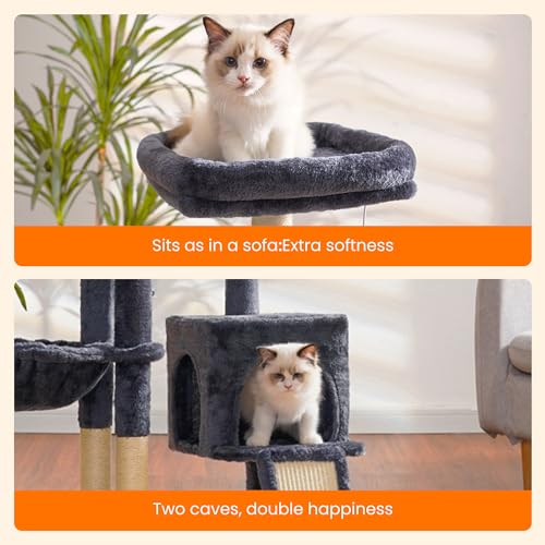 Cozy cat basket on Heybly tower