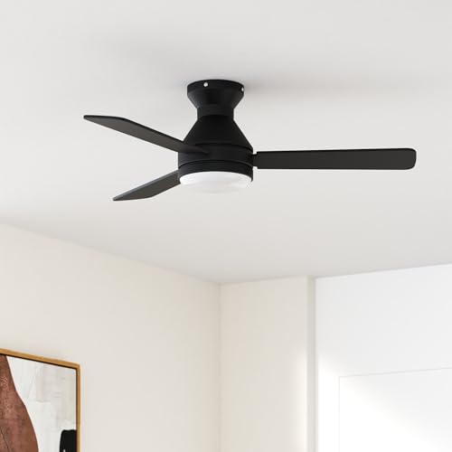 Amico ceiling fan showing black blade side