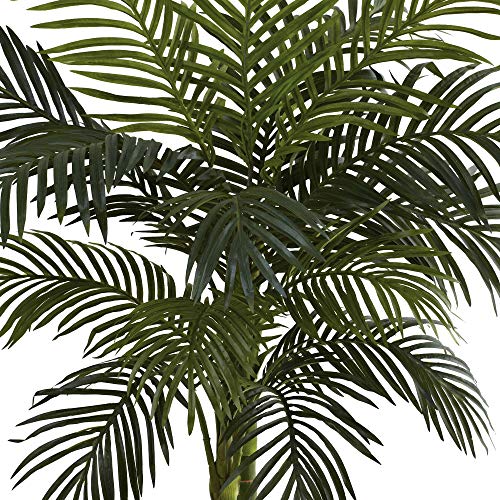 4 ft palm tree in a modern living room
