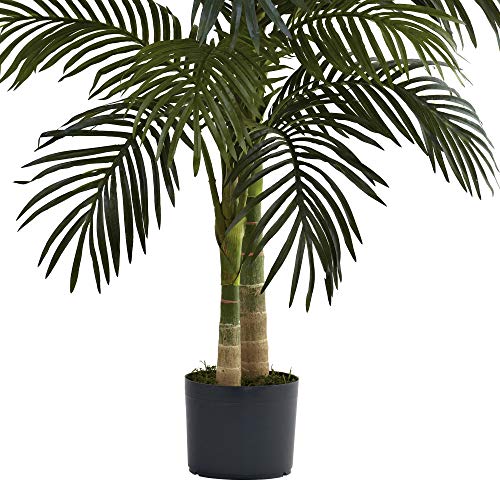 Palm tree branches bent for optimal shape