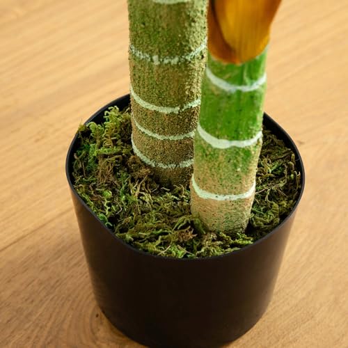 Golden Cane Palm staged in home office